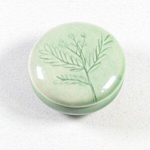 May include: A round, light green ceramic trinket box with a lid. The lid features a hand-painted, darker green botanical illustration of a leafy plant with small flowers. The ceramic surface has a smooth, glossy finish and a uniform color.