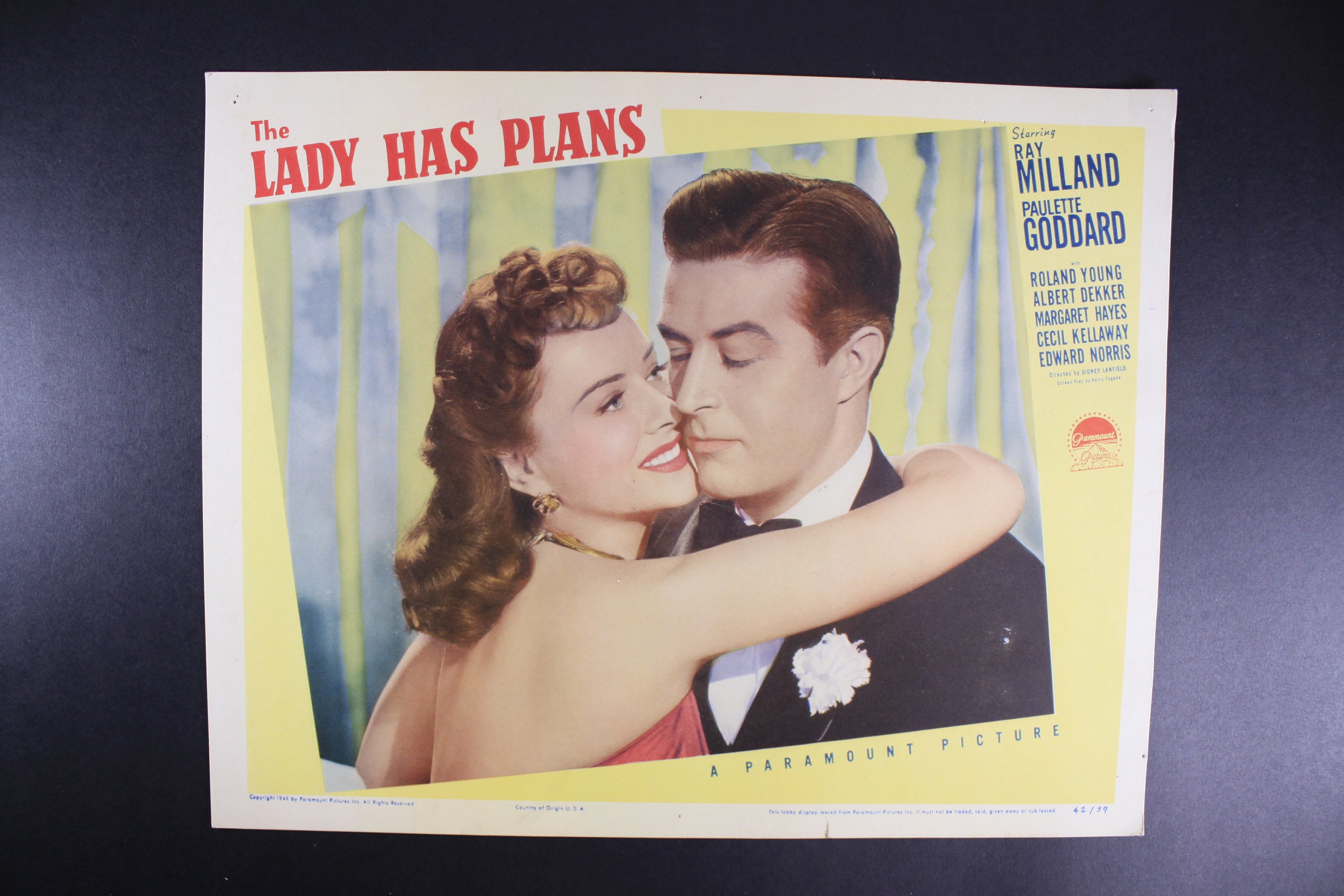 Vi \, image size:3000x2000