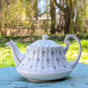 Vintage Paragon Regency Print Tea pot ca 1960s, fine bone china Tea Wares