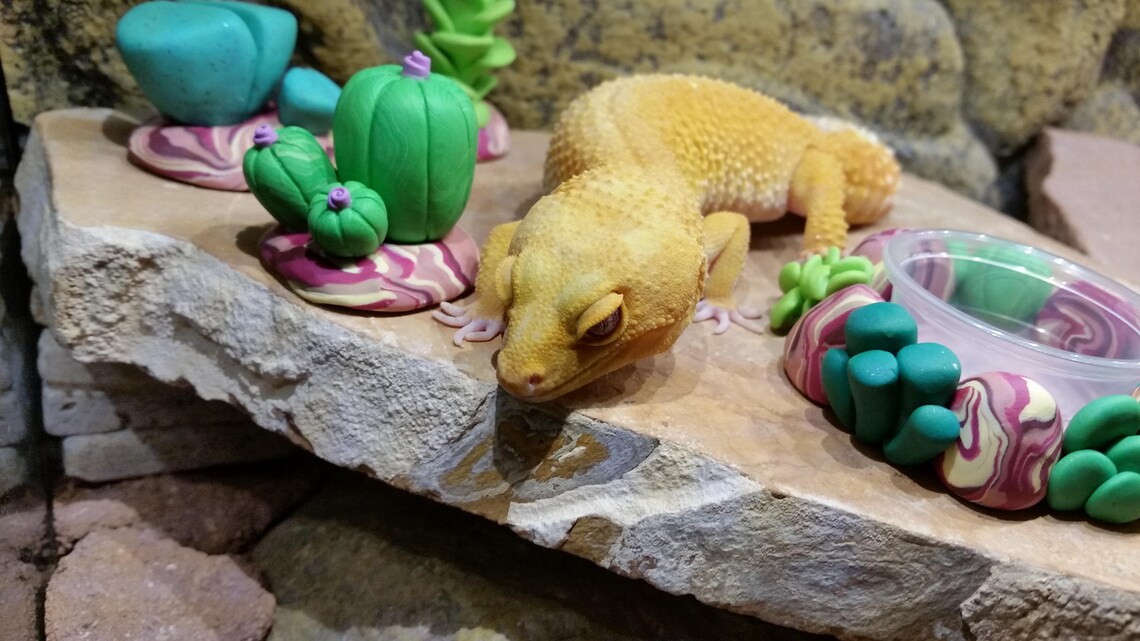 Leopard gecko habitat decor kit Etsy