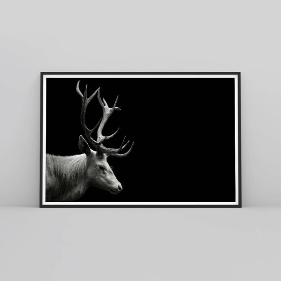 Deer Print Deer Wall Art Black And White Deer Wildlife Wall Etsy