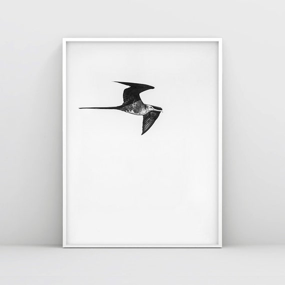 Oiseaux Abstrait Vol Oiseau Noir Et Blanc Photographie Doiseaux Oiseaux Minimaliste Scandinave Impression De La Nature Le Ciel Imprimer Oiseau