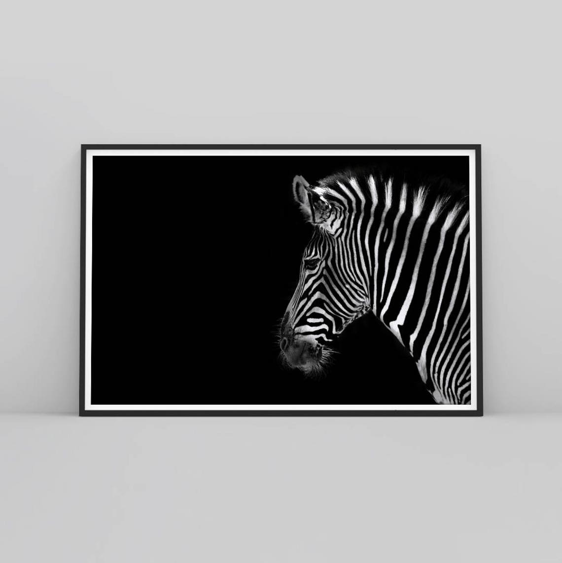 Zebra Print Zebra Wall Art Black and White Zebra Wildlife Etsy