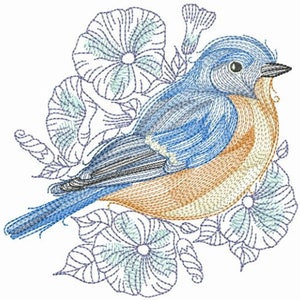 Sketched Bird Bluebird - Machine Embroidery Designs Instant Download 5x5 6x6 8x8 hoop APE3469-007