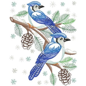 Christmas Birds Bluejay - Machine Embroidery Designs Instant Download 5x5 6x6 8x8 hoop APE2645-002