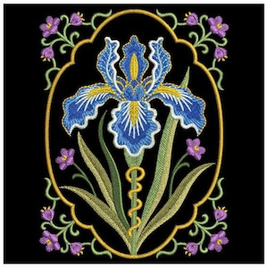 Blue Iris Bloom, Golden Frame Beauty, Purple Petal Elegance - Disegni per ricamo a macchina da scaricare immediatamente, telaio 4x4 5x5 6x6 SCA1302-010
