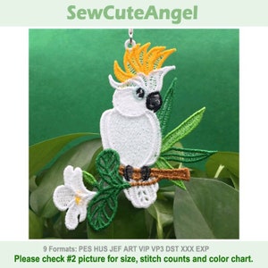 FSL Parrot - In the Jungle - Free Standing Lace Machine Embroidery Designs Instant Download 5x5 hoop APE3081-002