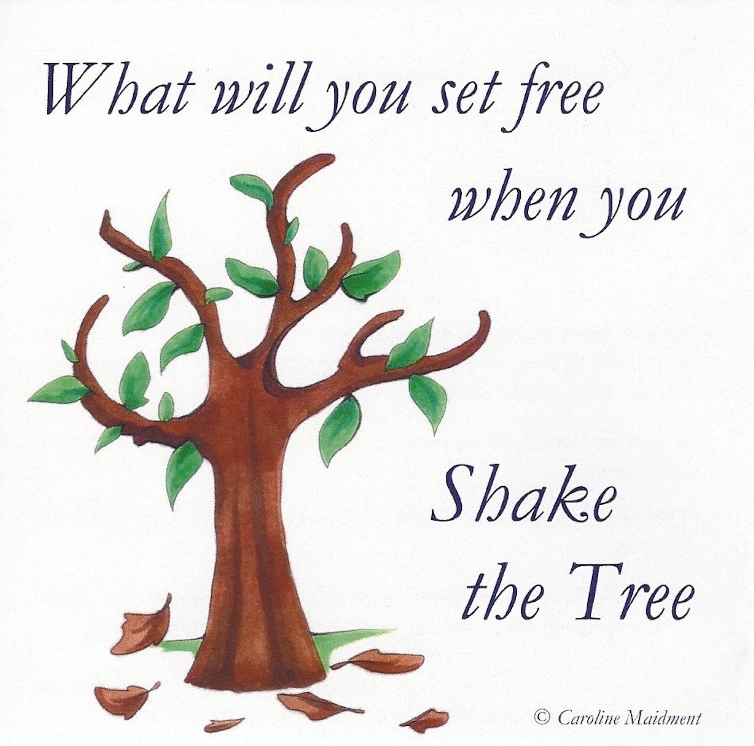 Shake the Tree Guided Meditation and Development CD Etsy