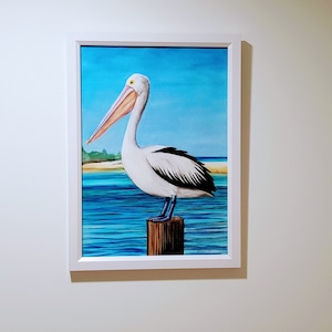 A3 Pelican Painting Acquerello