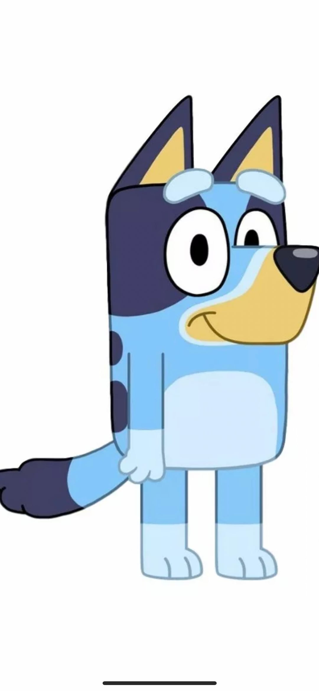 Bluey Cardboard Cutout Party Prop Decoration Etsy UK