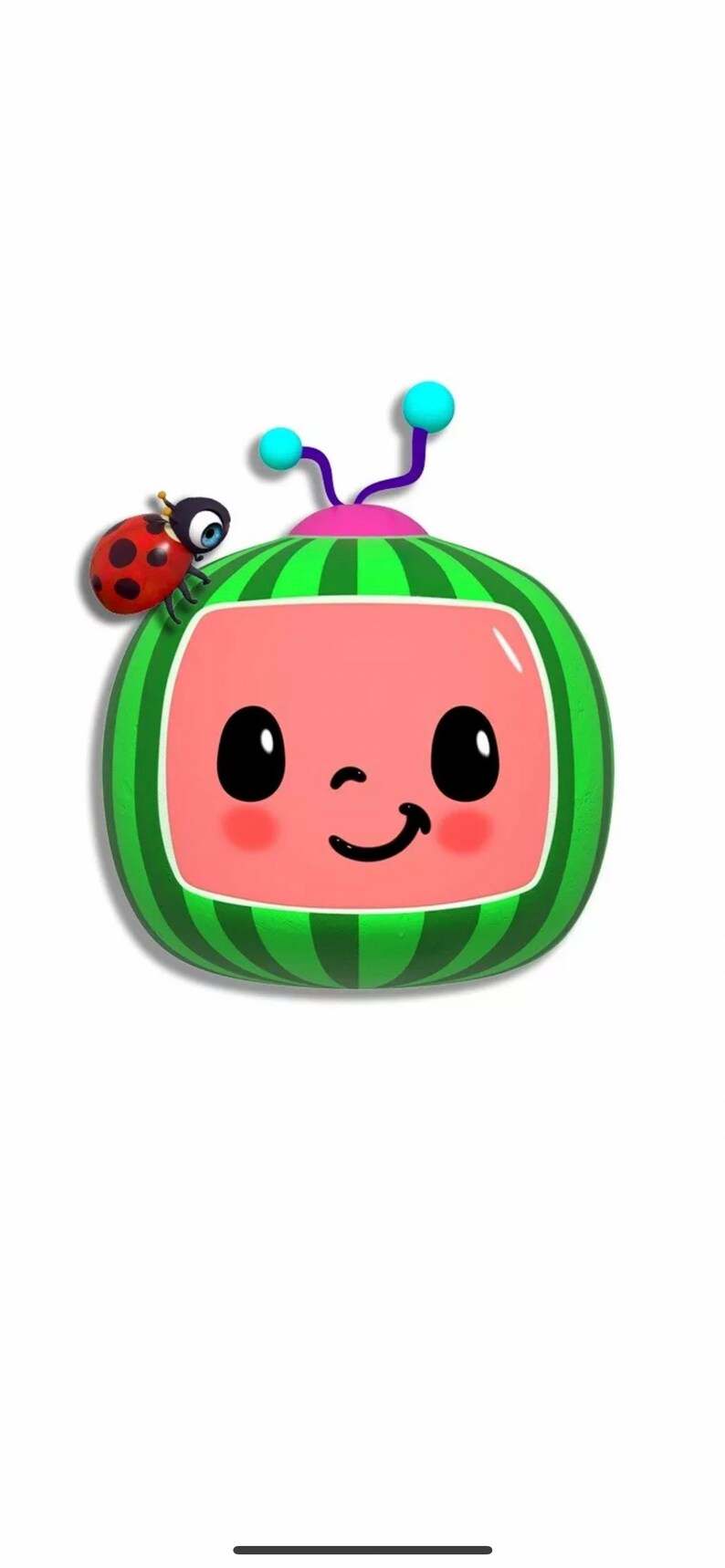 Watermelon Cardboard Cutout Standee Etsy UK