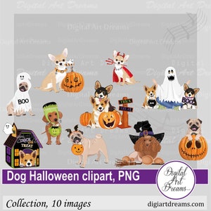 Halloween dog clip art - Animal clipart - Dachshund clipart - Corgi clip art, Chihuahua, Barboncino, Immagini digitali, Illustrazione, disegni png