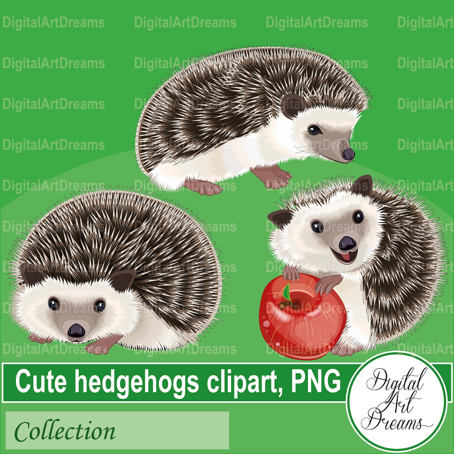 Hedgehog Clipart Hedgehog Png Digital Artwork Hedgehog | Etsy