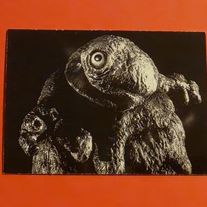 May include: Black and white photograph of a creature with a large eye and textured skin. The creature has a rough, bumpy texture and appears to be a sculpture or model. The image is set against a dark background.
