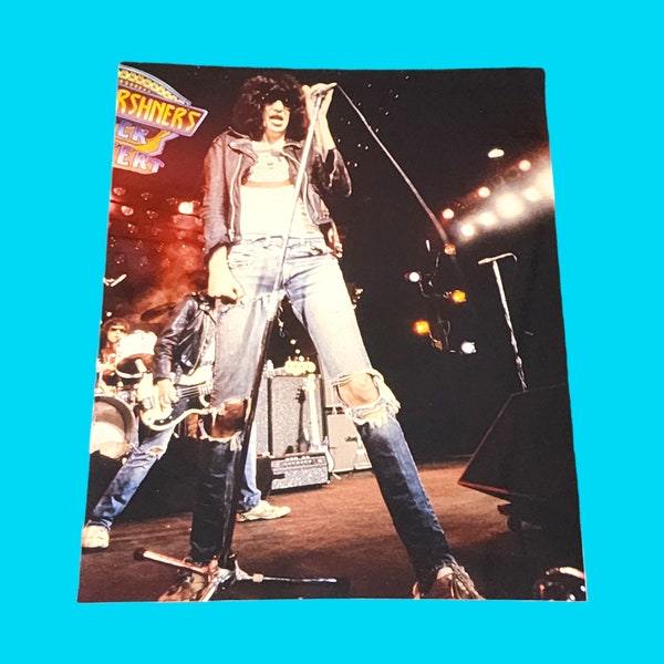 The Ramones Rock Superstar 8 x 10 Promo Photo Print