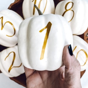 Small Personalized Pumpkin table numbers, Fall Wedding table numbers, white pumpkin table setting fall centerpiece, pumpkin table numbers image 4