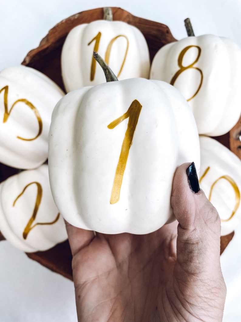 Small Personalized Pumpkin table numbers, Fall Wedding table numbers, white pumpkin table setting fall centerpiece, pumpkin table numbers image 4