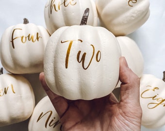 Small Personalized Pumpkin table numbers, Fall Wedding table numbers, white pumpkin table setting fall centerpiece, pumpkin table numbers