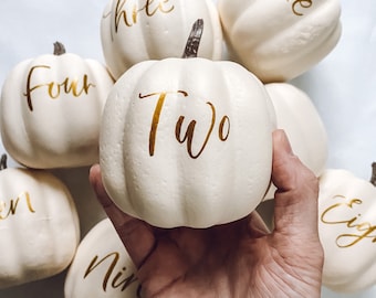 Personalized Pumpkin Table Numbers, Fall Wedding Centerpiece