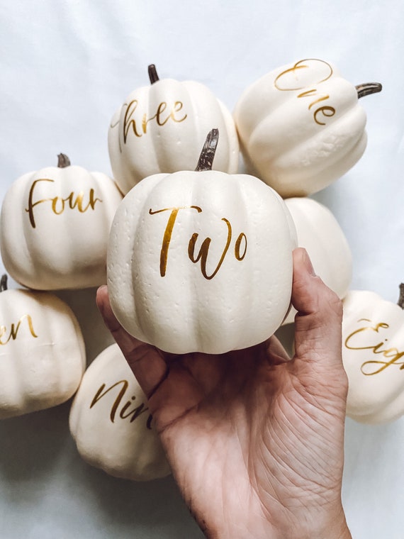 Hand-Lettered Pumpkin Table Numbers