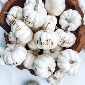 Small hand written Personalized Pumpkin place cards for Fall Wedding