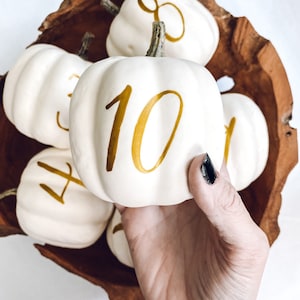 Small Personalized Pumpkin table numbers, Fall Wedding table numbers, white pumpkin table setting fall centerpiece, pumpkin table numbers image 2