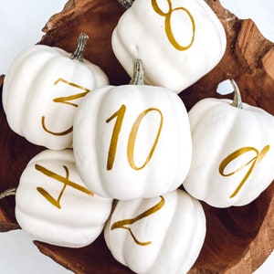 Small Personalized Pumpkin table numbers, Fall Wedding table numbers, white pumpkin table setting fall centerpiece, pumpkin table numbers image 5