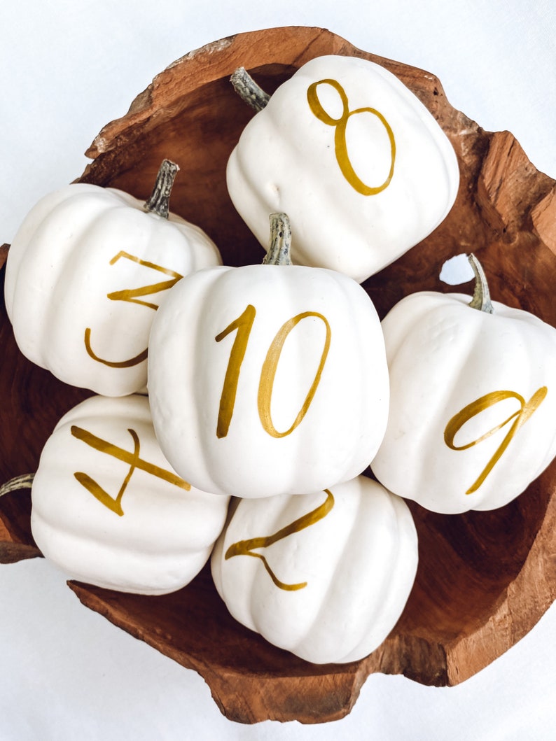 Small Personalized Pumpkin table numbers, Fall Wedding table numbers, white pumpkin table setting fall centerpiece, pumpkin table numbers image 5