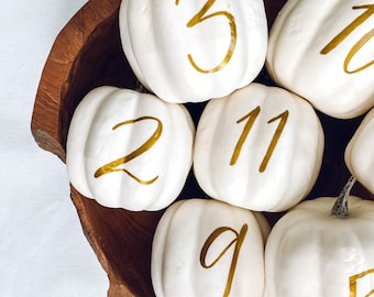Small Personalized Pumpkin table numbers, Fall Wedding table numbers, white pumpkin table setting fall centerpiece, pumpkin table numbers