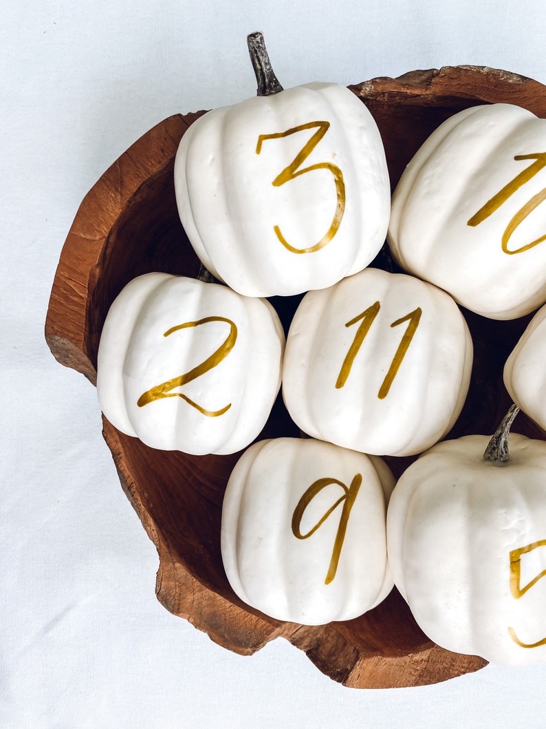 Small Personalized Pumpkin table numbers, Fall Wedding table numbers, white pumpkin table setting fall centerpiece, pumpkin table numbers image 1