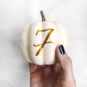 Small Personalized Pumpkin table numbers, Fall Wedding table numbers, white pumpkin table setting fall centerpiece, pumpkin table numbers image 6