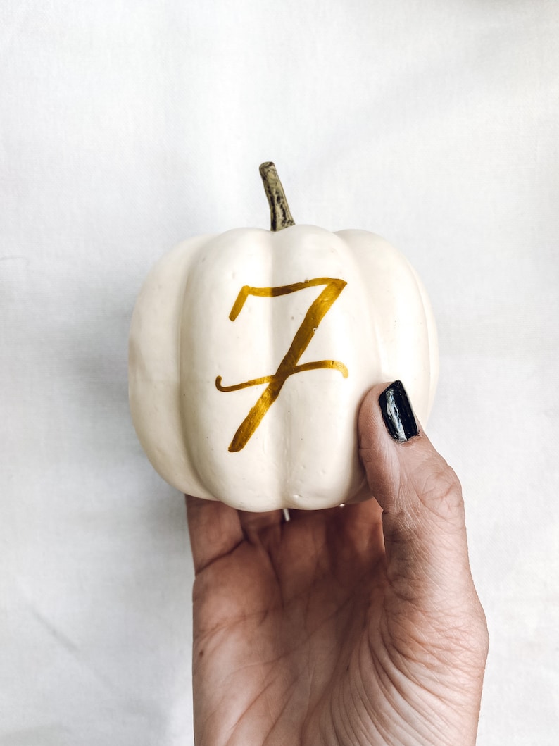 Small Personalized Pumpkin table numbers, Fall Wedding table numbers, white pumpkin table setting fall centerpiece, pumpkin table numbers image 6
