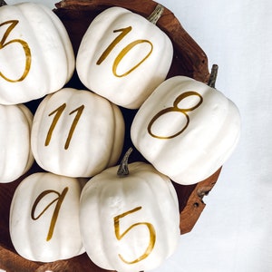 Small Personalized Pumpkin table numbers, Fall Wedding table numbers, white pumpkin table setting fall centerpiece, pumpkin table numbers image 3