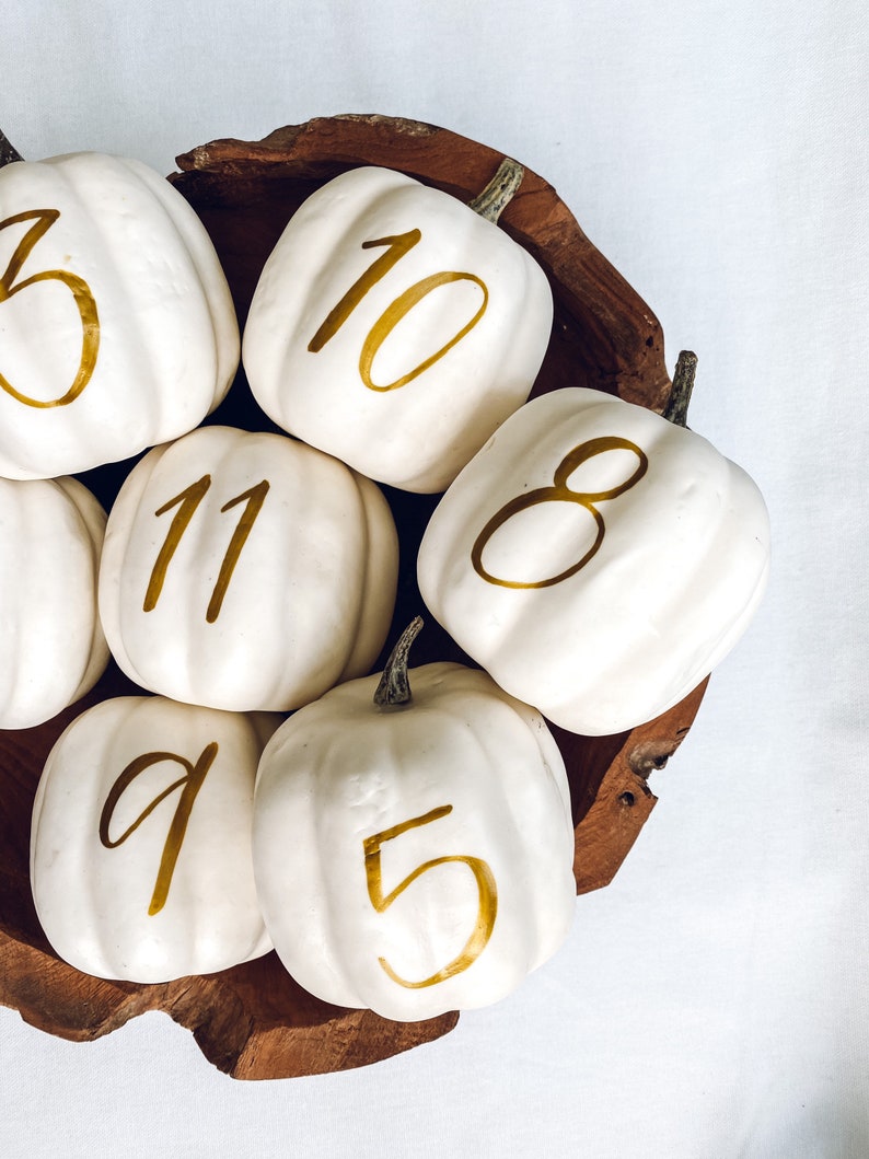 Small Personalized Pumpkin table numbers, Fall Wedding table numbers, white pumpkin table setting fall centerpiece, pumpkin table numbers image 3