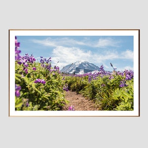 Rainier National Park Springtime - print