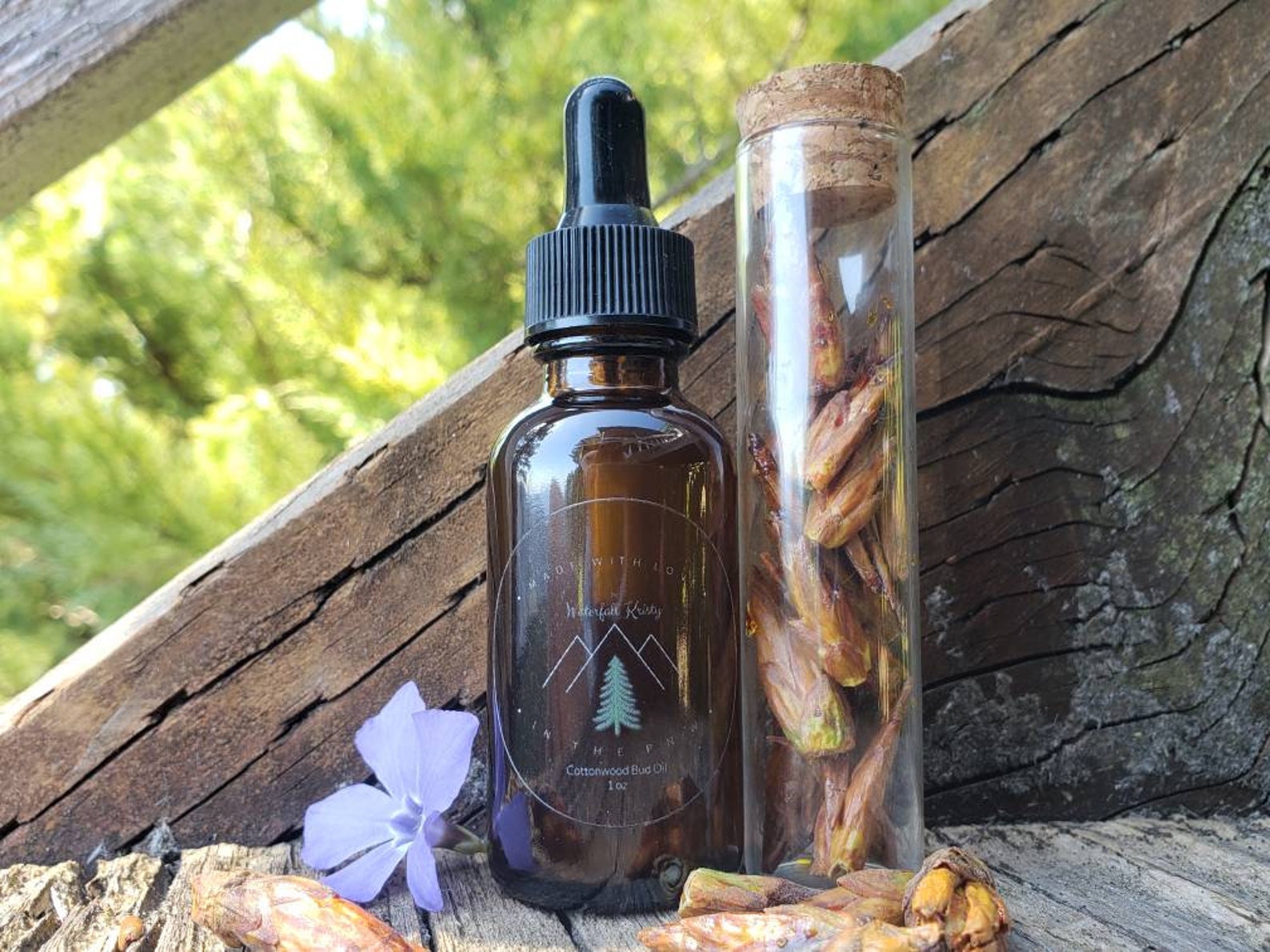 Cottonwood Bud Oil 1 oz / Balm of Gilead Muscle Rub / Topical Etsy