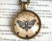 Butterfly SPHINX deathhead and PHASES of the LUNE voyance necklace pendant cabochon bronze and glass 25 mm medallion astrology tarot COC041