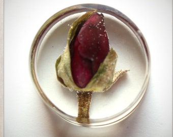 EARARTER / ear PLUG real rosebuds and transparent resin 22 24 26 28 30 mm flowers tunnel gauge botanical leaves PLG0074