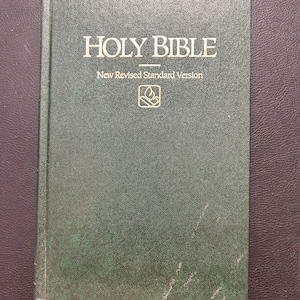 New International Version of the Holy Bible (Copyright 1989)