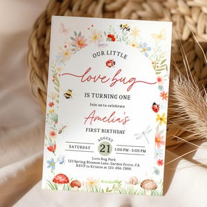Inbjudan till Love Bug-födelsedag - Redigerbar vårnyckelpigedesign Bir470