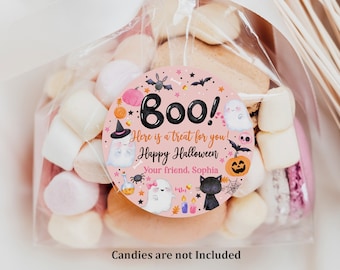 May include: Pink and white Halloween treat bag with a round sticker that says "Boo! Here is a treat for you! Happy Halloween. Your friend, Sophia". The sticker has a black cat, a pumpkin, and ghosts on it.