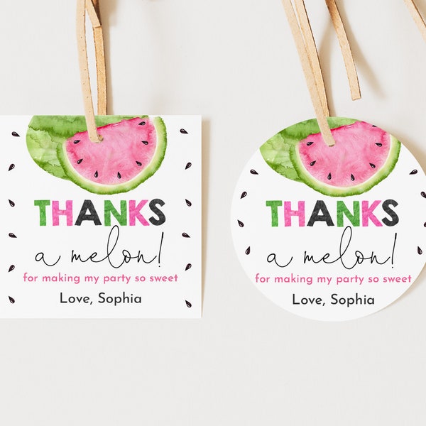 Editable Watermelon Thank you Tags Thanks a melon label One in a melon Favor Tags Pink watermelon gift stickers Girl First Birthday Bir343