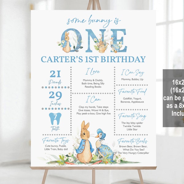 Peter Rabbit - Etsy