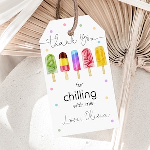 Popsicle Geburtstag Favor Tag Pool-Party Danke-Tag Eis Favor Label Sommer Bunt Ice Pop Bearbeitbar Druckbar Download Bir347