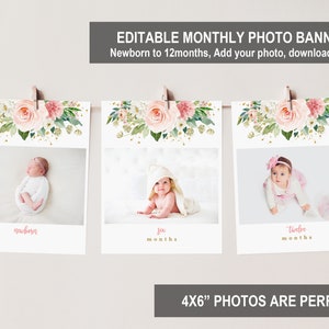 Editable First Birthday Monthly Photo Banner Little Miss Onederful Birthday Blush Pink Floral Garden Gold Pink Template Printable Bir303