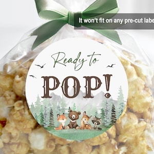 Autocollants prêts à poser pour baby shower, étiquettes pour cadeaux de naissance des bois, étiquettes de maïs soufflé, que l'aventure commence, animaux de la forêt, impression modifiable, Bab194