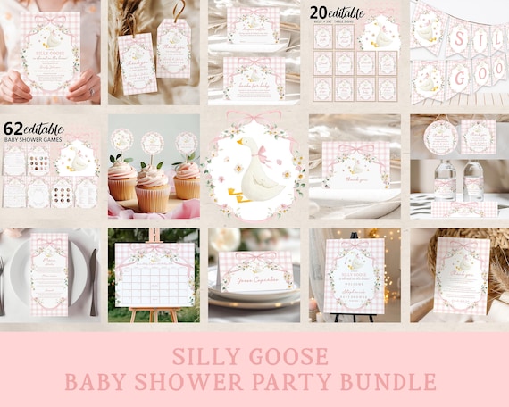 Baby Shower Bundle: Pink Gingham, Silly Goose Theme - Invitations & Games Bab414
