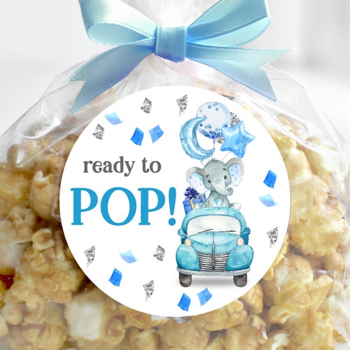 Elephant Drive by Ready to Pop Sticker/ Drive by Baby Shower Etsy