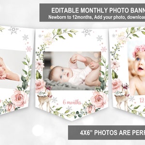 Winter woodland Monthly photo Birthday banner Winter Onederland photo banner Deer snowflake 1st birthday banner Editable Printable Bir152