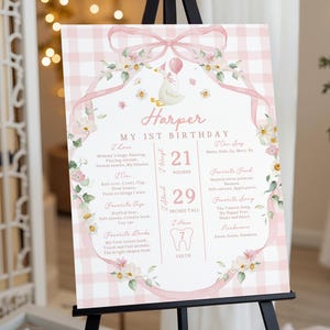 Birthday Milestone Sign: Silly Goose Theme, Pink Bow - Editable Canva File Bir608 image 3